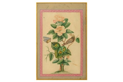 Lot 50 - * THREE TINTED DRAWINGS DEPICTING FLOWERS AND BIRDS
