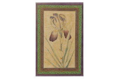 Lot 50 - * THREE TINTED DRAWINGS DEPICTING FLOWERS AND BIRDS