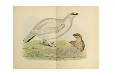 Lot 90 - Natural History.-  Morris (Beverley R.)