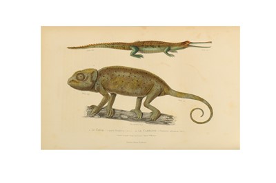 Lot 48 - Natural History.- Flourens, [M. J. P.] [Buffon, Cuvier and De Lacépède]