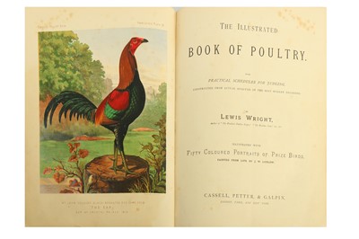 Lot 302 - Natural History.- Wright (Lewis)