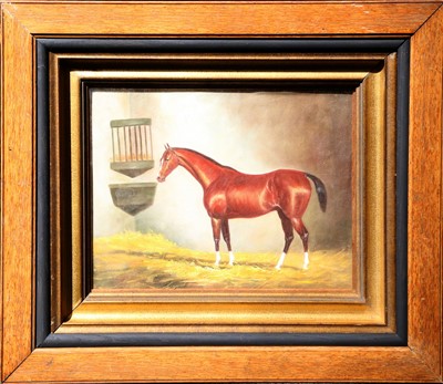 Lot 201 - An oak framed equine oil painting study of a...