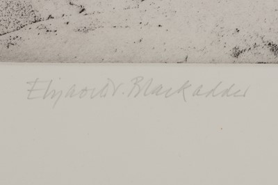 Lot 38 - ELIZABETH BLACKADDER R.A, (B. 1931)