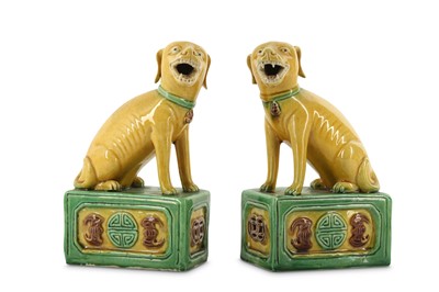 Lot 395 - A PAIR OF CHINESE SANCAI-GLAZED BISCUIT FIGURES OF DOGS.