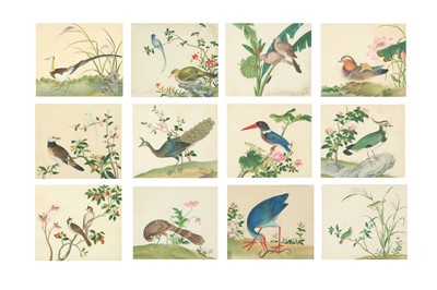 Lot 280 - A SET OF TWELVE CHINESE PAINTINGS OF TROPICAL BIRDS.