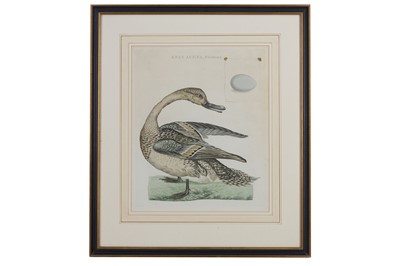 Lot 56 - SEPP & NOZEMAN, PUBLISHED AMSTERDAM 1789