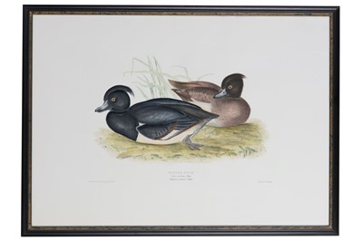 Lot 56 - SEPP & NOZEMAN, PUBLISHED AMSTERDAM 1789