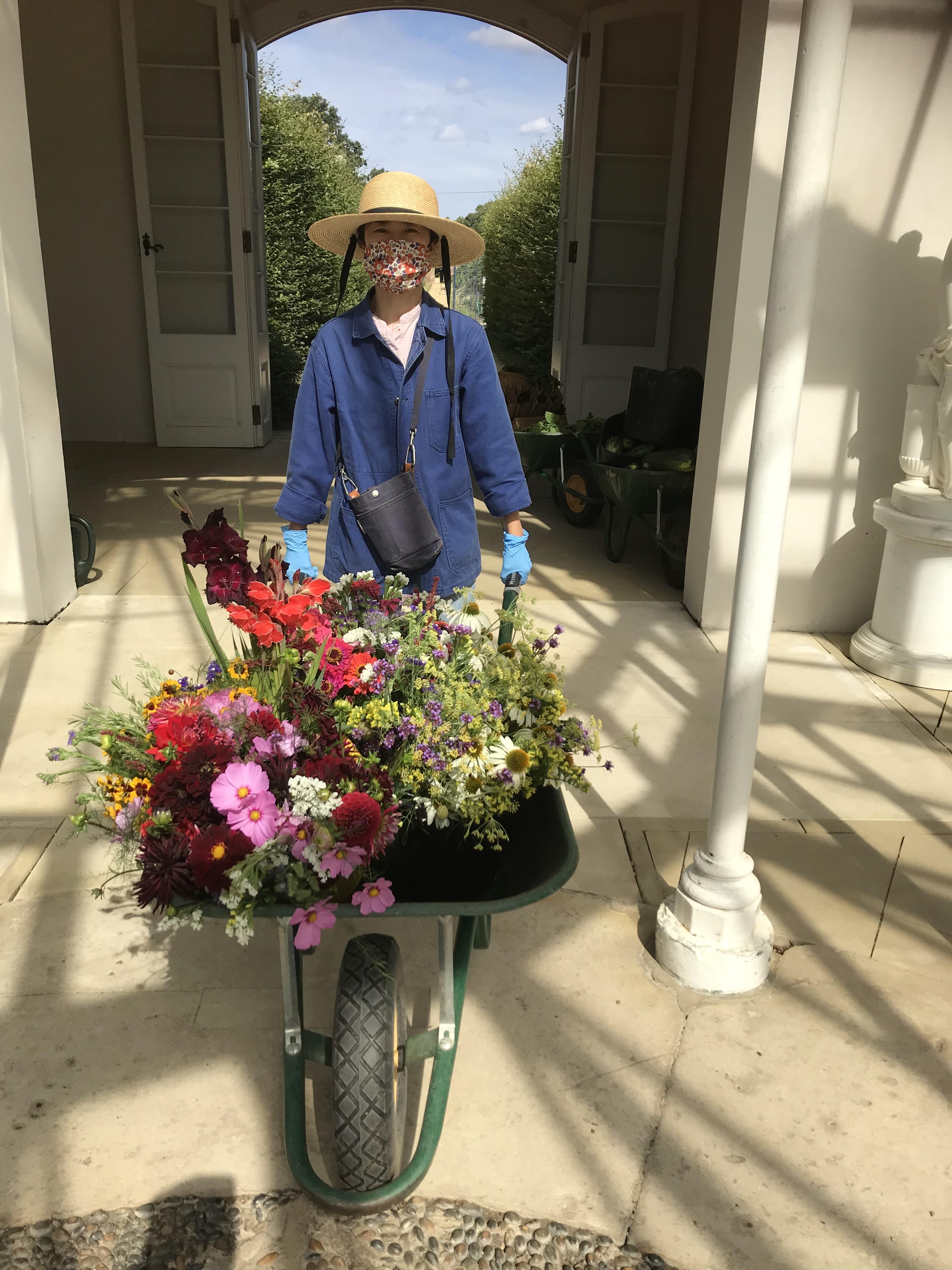 Lot 18 Seasonal flowers every month for a year