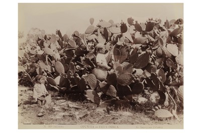 Lot 211 - Giuseppe Incorpora (1834 – 1914)