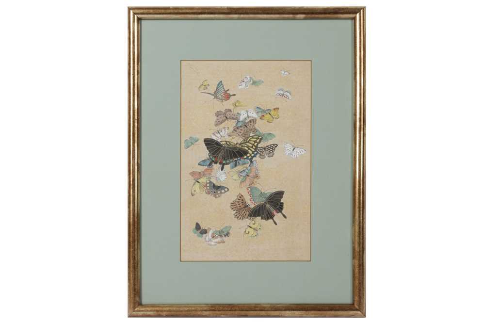 Lot 74 - A SET OF TWELVE LATE 19TH CENTURY JAPANESE MEIJI PERIOD BUTTERFLY PAINTINGS