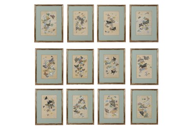 Lot 456 - A SET OF TWELVE JAPANESE BUTTERFLY PAINTINGS.