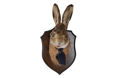 Lot 7 - AN ANTHROPOMORPHIC TAXIDERMY TROPHY OF A GENTLEMAN HARE