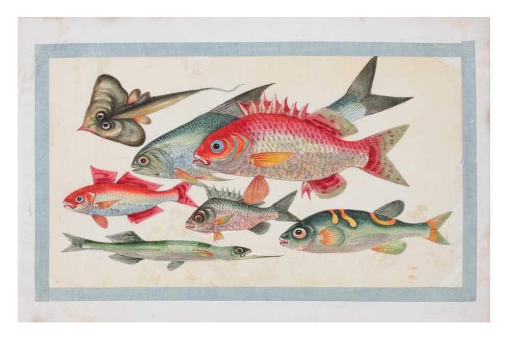 Lot 73 - AMENDED - A LATE 19TH / EARLY 20TH CENTURY FOLIO OF CHINESE PAINTINGS OF FISH ON PITH PAPER / RICE PAPER