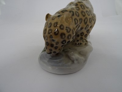Lot 67 - Royal Copenhagen: a Royal Copenhagen porcelain model of a leopard