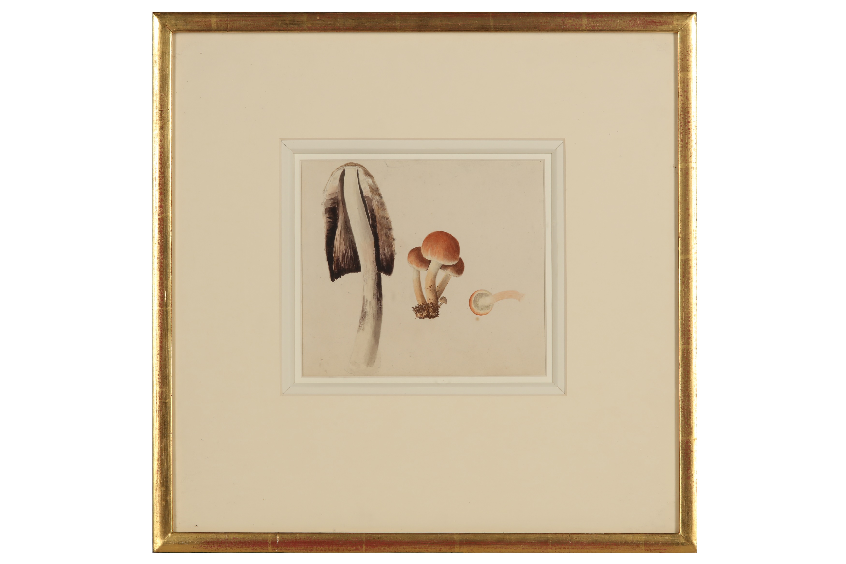 Lot 296 JAMES SOWERBY (17571822)