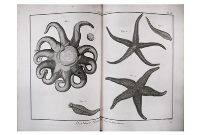 Lot 591 - Bruguire. (Jean Guillaume)  Tableau Encyclopédique et Méthodique des Trois Régnes de la Nature