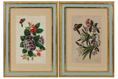 Lot 317 - A COLLECTION OF TWELVE CHINESE EXPORT PAINTINGS OF FLOWERS AND LEAVES, 19TH CENTURY