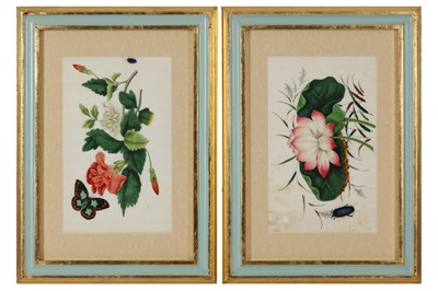 Lot 317 - A COLLECTION OF TWELVE CHINESE EXPORT PAINTINGS OF FLOWERS AND LEAVES, 19TH CENTURY