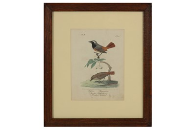 Lot 667 - AFTER GOULD J. (1804 – 1881) & H. C RICHTER (1821 – 1902)