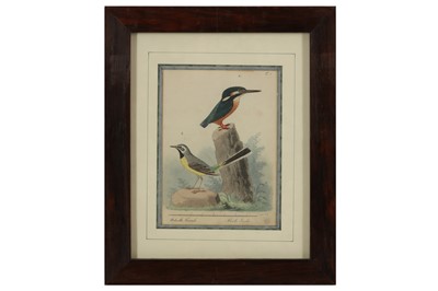 Lot 667 - AFTER GOULD J. (1804 – 1881) & H. C RICHTER (1821 – 1902)