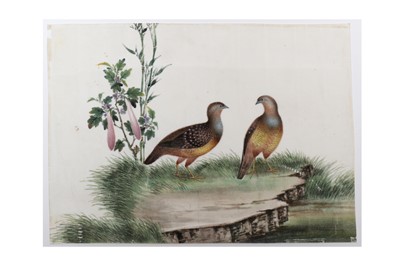 Lot 1074 - Chinese Paintings on pith paper
