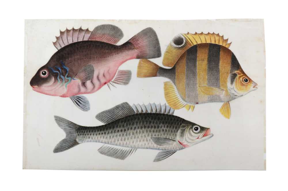 Lot 1074 - Chinese Paintings on pith paper
