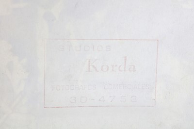 Lot 308 - Alberto Korda (1928 - 2001)