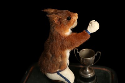 Lot 181 - AN ANTHROPOMORPHIC TAXIDERMY SCENE OF A BOXING SQUIRREL IN THE MANNER OF WALTER POTTER