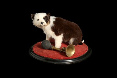 Lot 184 - A TAXIDERMY PUPPY SEATED BESIDE A VINTAGE HORN