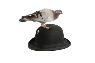 Lot 180 - A TAXIDERMY PIGEON PERCHED ON A BOWLER HAT