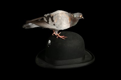 Lot 180 - A TAXIDERMY PIGEON PERCHED ON A BOWLER HAT