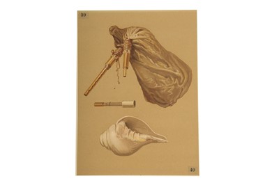 Lot 346 - NINE CHROMOLITHOGRAPH PLATES OF TRADITIONAL INDIAN MUSICAL INSTRUMENTS