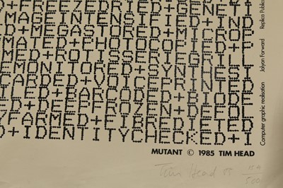 Lot 234 - TIM HEAD (BRITISH B.1946)