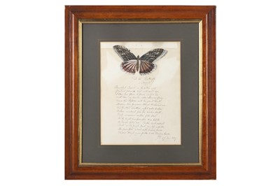 Lot 189 - A REGENCY PAINTED AND CUT PAPER PICTURE OF A BUTTERFLY