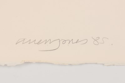Lot 489 - ALLEN JONES, R.A. (B. 1937)