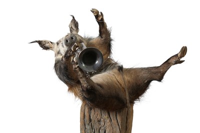 Lot 87 - A TAXIDERMY BUSH PIG PLAYING  A TRUMPET BY ANDRE ROBOLOBAVICH