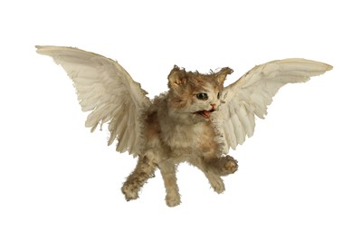 Lot 29 - THE FAMOUS TAXIDERMY WINGED KITTEN