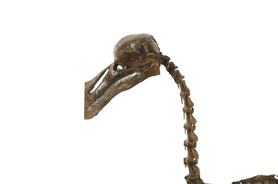 Lot 10 - A  PAINTED CAST OF A DODO  SKELETON