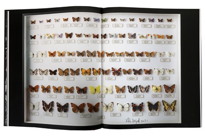 Lot 81 - A FRAMED PRINT OF BUTTERFLY SPECIMENS TOGETHER WITH THE BOOK THAT FEATURES THE PRINT BY VIKTOR WYND
