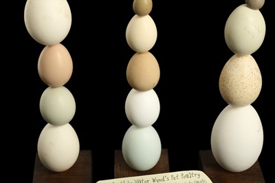 Lot 17 - THREE EGG SCULPTURES FROM VIKTOR WYND'S DOMESTIC POULTRY