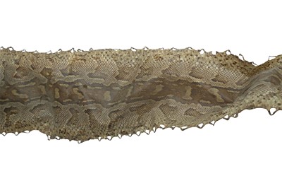 Lot 38 - AN EARLY 20TH CENTURY ROCK PYTHON SKIN