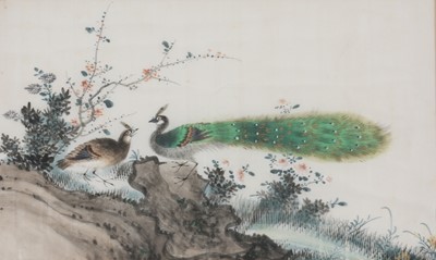 Lot 734 - THREE CHINESE PITH PAPER PAINTINGS OF BIRDS.