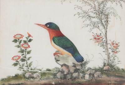 Lot 734 - THREE CHINESE PITH PAPER PAINTINGS OF BIRDS.