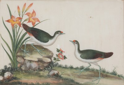 Lot 734 - THREE CHINESE PITH PAPER PAINTINGS OF BIRDS.