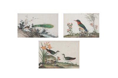 Lot 734 - THREE CHINESE PITH PAPER PAINTINGS OF BIRDS.