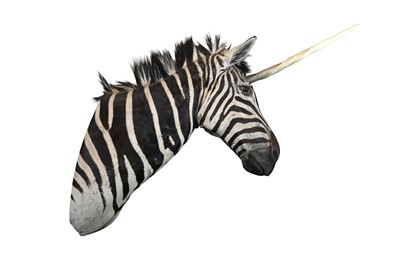 Lot 4 - A TAXIDERMY SHOULDER MOUNT OF A STRIPED UNICORN