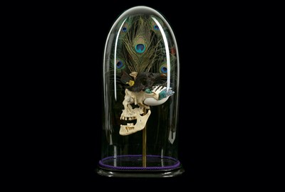 Lot 108 - ‘BIRD BRAIN’, ART PIECE IN VICTORIAN DOME, GENUINE HUMAN SKULL WITH ANTIQUE ORNITHOLOGICAL SPECIMENS