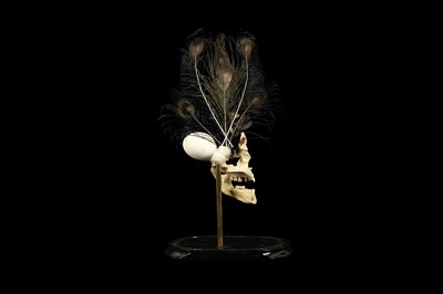 Lot 108 - ‘BIRD BRAIN’, ART PIECE IN VICTORIAN DOME, GENUINE HUMAN SKULL WITH ANTIQUE ORNITHOLOGICAL SPECIMENS