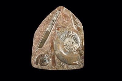 Lot 285 - NATURAL HISTORY: FOSSIL SLAB OF GONIATITE AMMONITES AND ORTHOCERAS FROM ATLAS MOUNTAINS