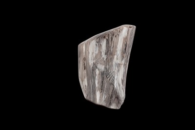 Lot 281 - PETRIFIED FOSSIL WOOD SPECIMEN
